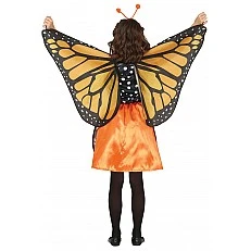 Butterfly costume, for children 5-6 years