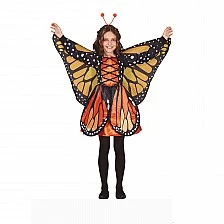 Butterfly costume, for children 10-12 years