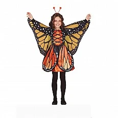 Butterfly costume, for children 10-12 years