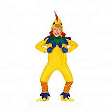 Chicken costume, for children 10-12 years