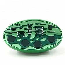 Nowa Szkola Chloroplast model, 3D