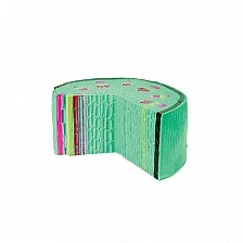 Nowa Szkola Dicot stem model