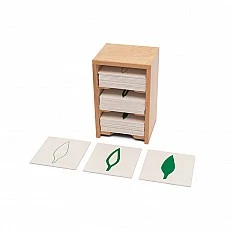 Nowa Szkola Cabinet with 14 botany cards