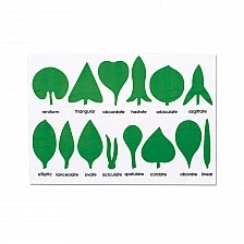 Nowa Szkola Control Chart - Leaf Shapes