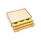 Nowa Szkola Montessori cabinet, botanical, wooden, 47.5 x 14 x 32.5 cm