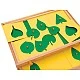 Nowa Szkola Montessori cabinet, botanical, wooden, 47.5 x 14 x 32.5 cm