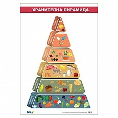 Cubos School chart "Food pyramid", 70 x 100 cm