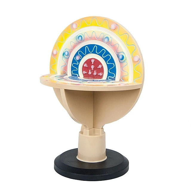 Nowa Szkola Atom model, 3D