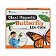 Learning Resources Butterfly Life Cycle Magnetic Kit