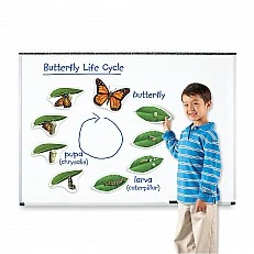 Learning Resources Butterfly Life Cycle Magnetic Kit
