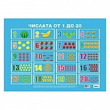 Cubos Student board ''Numbers from 1 to 20'', laminated, 50 x 70 cm