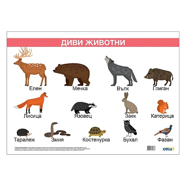 Cubos School chart Wild animals, laminated, 50 x 70 cm