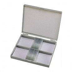 Microscope slides, 25 pieces