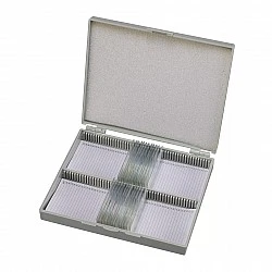 Microscope slides, 25 pieces