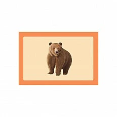 Cubos Образователни карти - Животни, 50 броя
