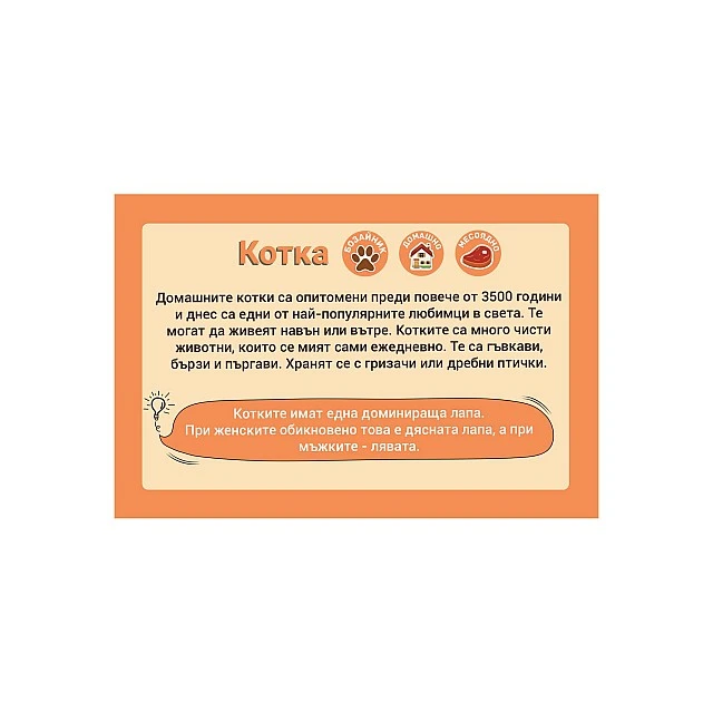 Cubos Образователни карти - Животни, 50 броя