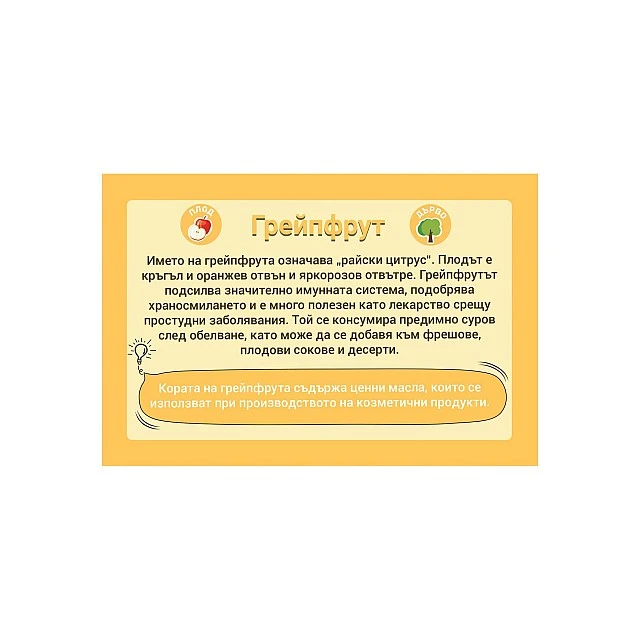 Cubos Образователни карти - Плодове и зеленчуци, 50 броя