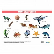 Cubos Ученическо табло ’’Морски свят’’, ламинирано, 50 x 70 cm, модел 2