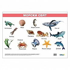 Cubos Ученическо табло ’’Морски свят’’, ламинирано, 50 x 70 cm, модел 2