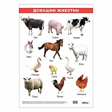 Cubos School chart "Domestic animals", laminated, 50 x 70 cm, model 2