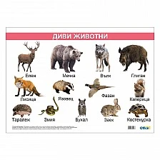Cubos School chart "Wild animals", laminated, 50 x 70 cm, model 2