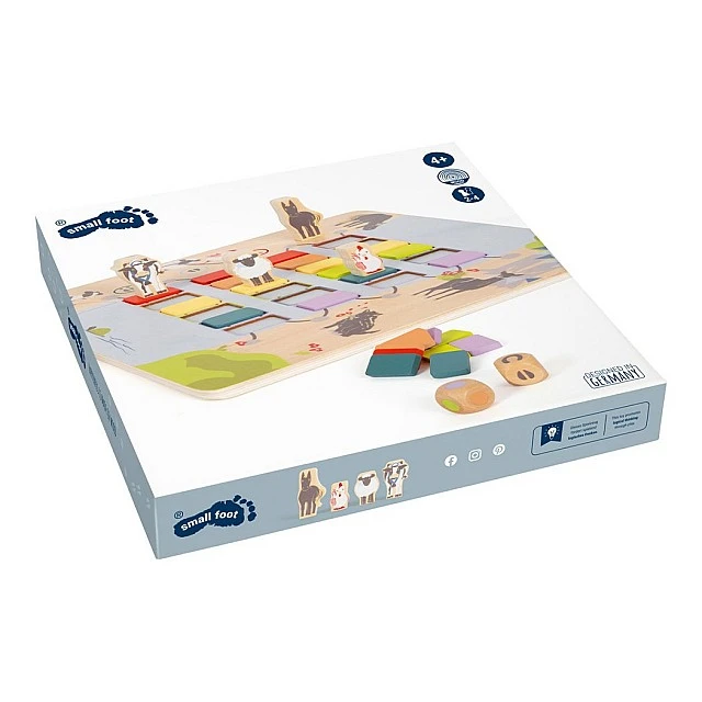 Small Foot Bridge game - 4 friends