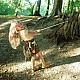 Small Foot Discover Research Tool Belt