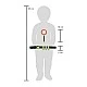 Small Foot Discover Research Tool Belt