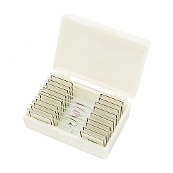 Microscope slides, 10 pieces