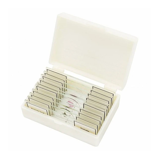 Microscope slides, 10 pieces