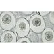 Microscope slides, 10 pieces