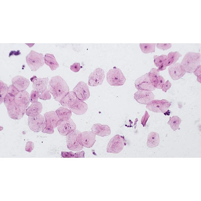 Microscope slides, 10 pieces