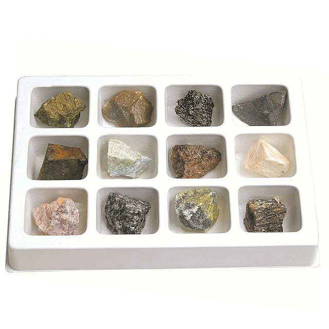 Learning Resources Collection of metamorphic rocks