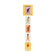 Nowa Szkola Puzzle Evolution of man, layered