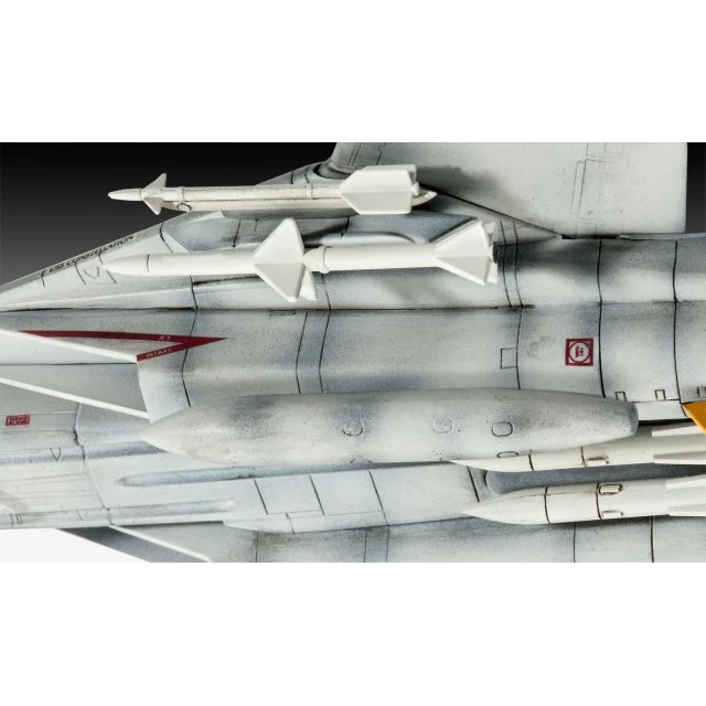 Super Tomcat F14-D - assembled model