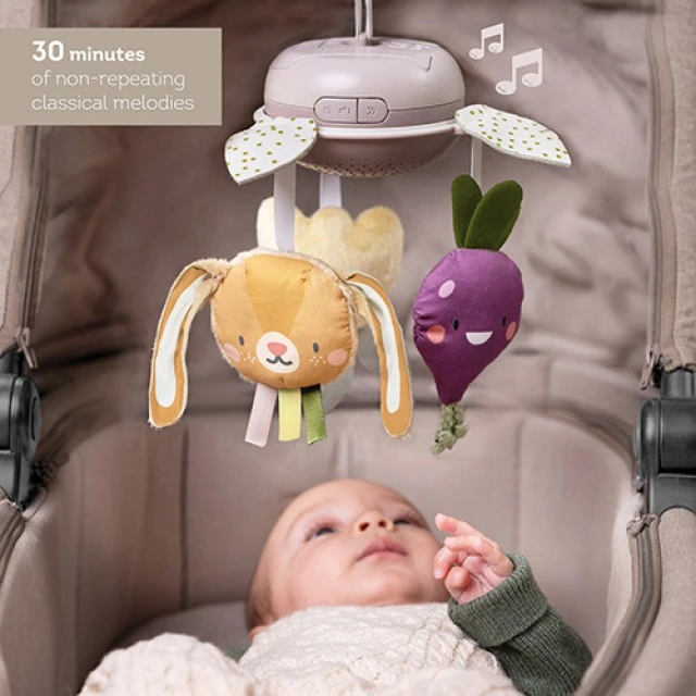 Interactive toy, Taf Toys, Musical Garden