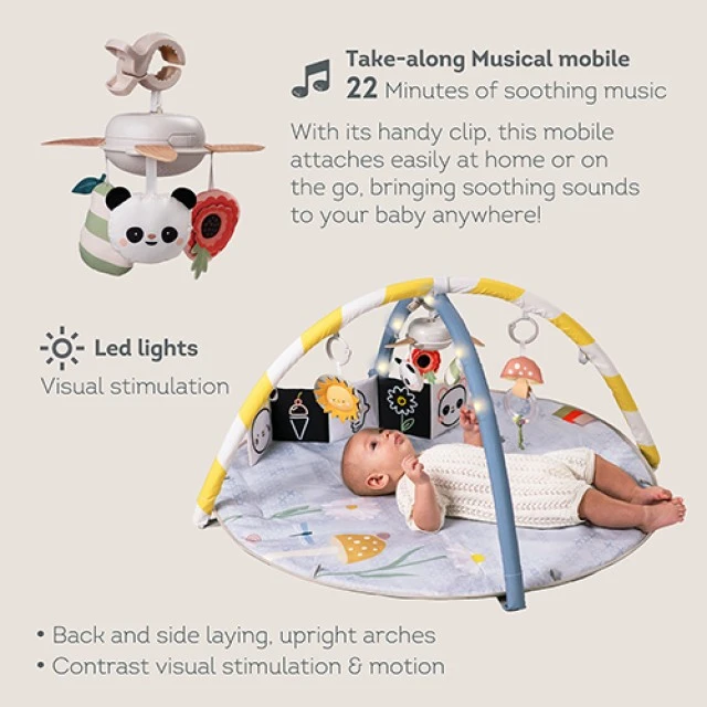 Musical active gymnastics, Taf Toys, With LED lights