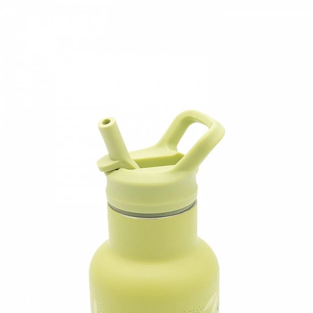 Stainless steel thermos bottle, Sassi, 350ml, Dinosaur
