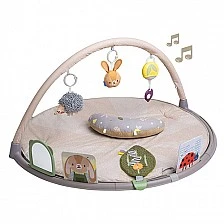 Musical active gymnastics, Taf Toys, Bunny Jenny and friends, 6 activities