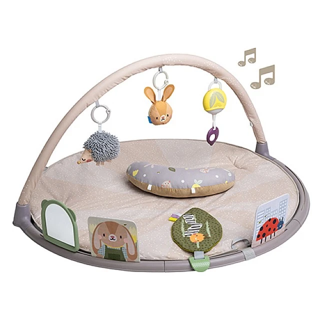 Musical active gymnastics, Taf Toys, Bunny Jenny and friends, 6 activities