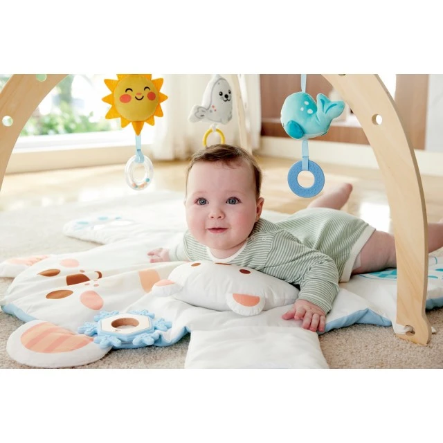 Baby activity gym, Hape