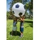 Soccer ball with pump - 76cm.