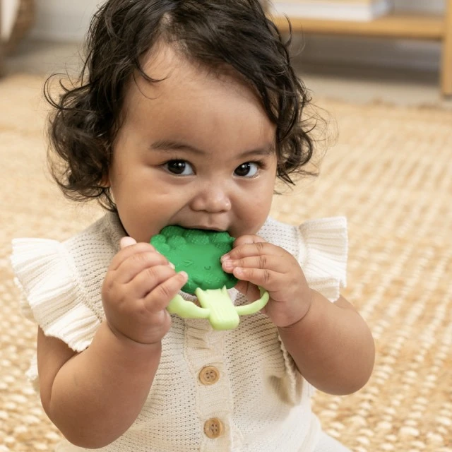 Silicone baby teether, Infantino, Broccoli