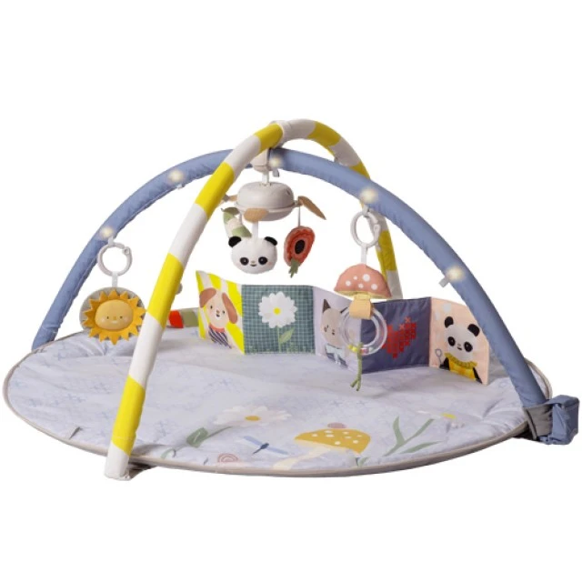 Musical active gymnastics, Taf Toys, With LED lights
