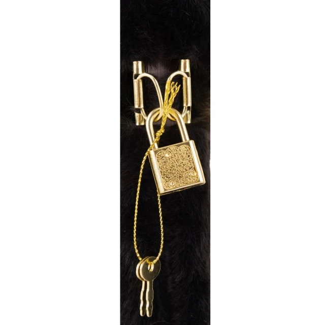 Diary with padlock, Astra, Fluffy black kitten, A5, 19 × 9 × 8 cm