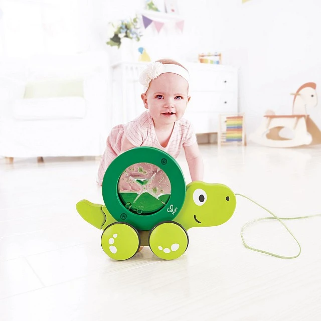 Childrens wooden turtle to pull