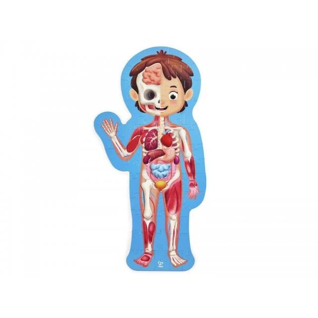 Wooden puzzle Human body, 60 pieces