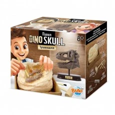 Carve your own Tyrannosaurus dinosaur skull, Buki France