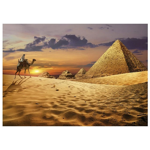 Puzzle, Educa, Camel in the desert, 1000 pieces