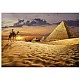 Puzzle, Educa, Camel in the desert, 1000 pieces